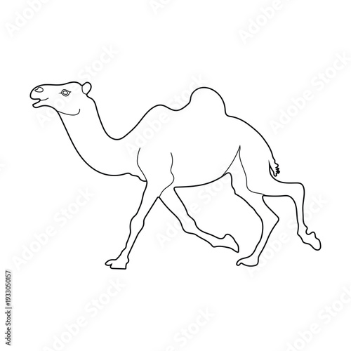 Camel Silhouette Line Art Vector Illustration Design.
