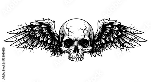 Skull with Wings Illustration Artwork Design.