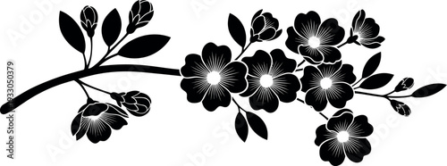 Elegant black and white floral branch with delicate leaves and blooming flowers