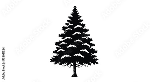 A striking black silhouette of a fully grown evergreen tree with detailed branches and a sturdy trunk silhouette high quality
