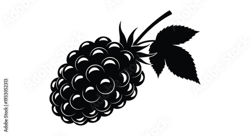 A striking black silhouette of a ripe blackberry with a leaf showcasing its textured surface silhouette high quality professional