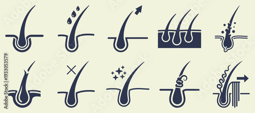 Hair Follicle Icons: Growth, Loss, Health, and Treatment Vector Illustration, Flat Design Elements