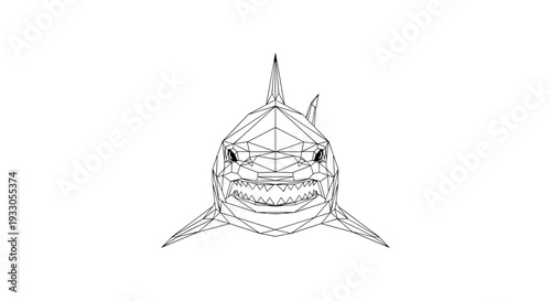 Detailed Line Drawing of Shark Head.