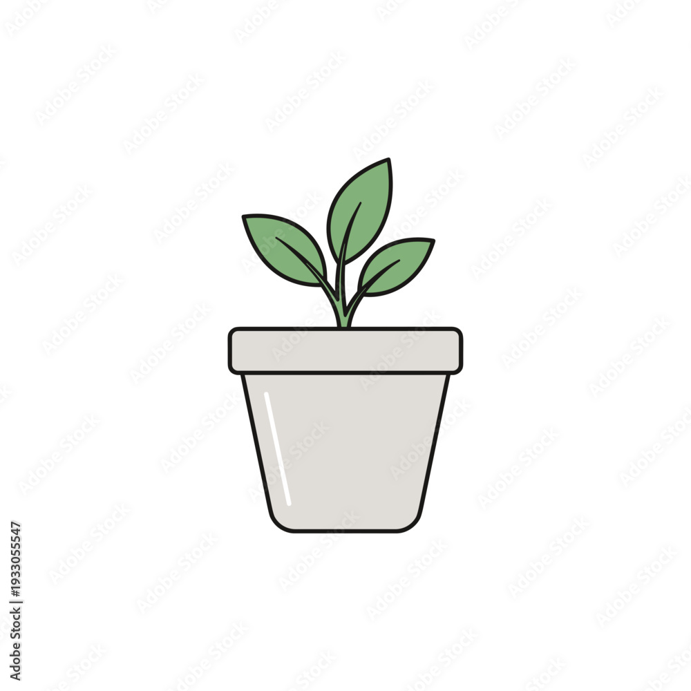 Fototapeta premium Small Green Plant in White Pot.