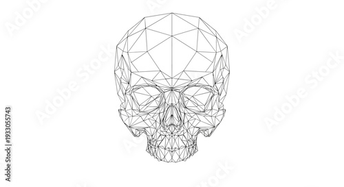 Detailed Wireframe Illustration of Human Skull.