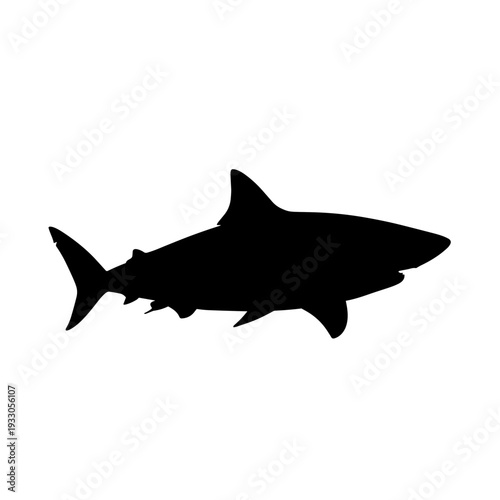 Black Silhouette of a Shark.