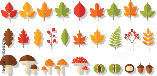 Autumn Leaves and Forest Elements Vector Set with Mushrooms, Acorns, Chestnuts, Berries and Colorful Fall Foliage Collection