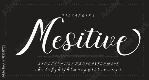 Script Brush Font Type Font lettering handwritten. vector illustration 
