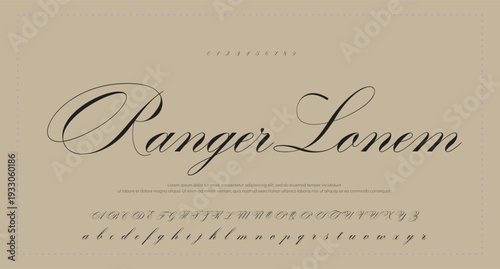 Script Brush Font Type Font lettering handwritten. vector illustration 