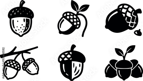 Flat design acorn icon set six black and white hand drawn acorns on branch with sprout close up studio style