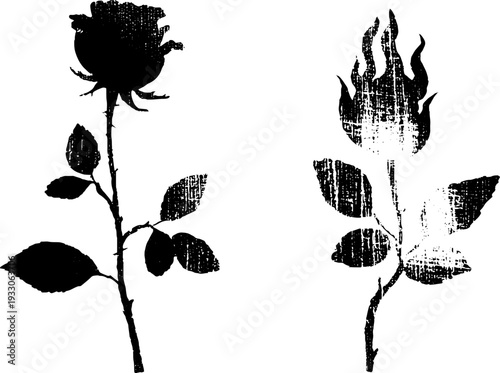 Contrasting rose and flame ink illustration for retro art design