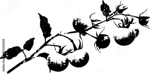 Tomato vine cluster abstract stencil design for artistic decor and prints