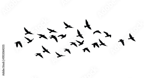 A flock of birds in flight depicted as a dark silhouette