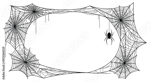Intricate spiderweb frame with a small spider dark silhouette