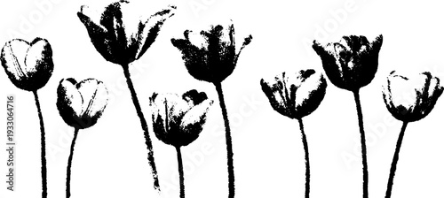 Abstract tulip bouquet wrap in high contrast stencil style for artistic design