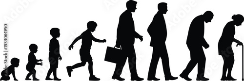 Human life cycle evolution silhouettes, aging process from baby to elderly senior, growing stages set isolated on white background, growth.