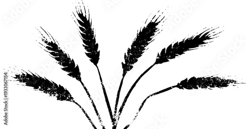 High contrast wheat ear silhouette in stencil style for art design