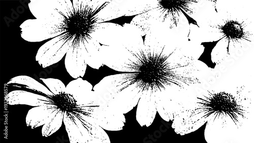 Abstract wildflower petal overlap in high contrast stencil style