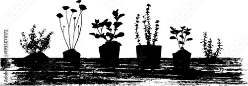 Abstract high contrast herbs on window sill in stencil style for home decor