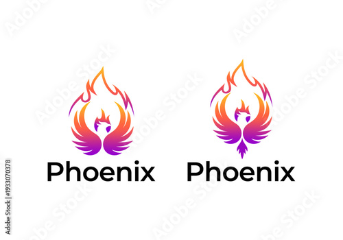 vector logo design icon abstract fire bird phoenix flapping wings