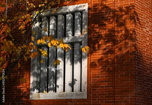 Fotografia Autumn leaves casting shadows on a stone mullion window and red brick wall of a