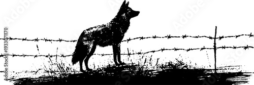 Wolf silhouette with barbed wire in high contrast black and white ink art
