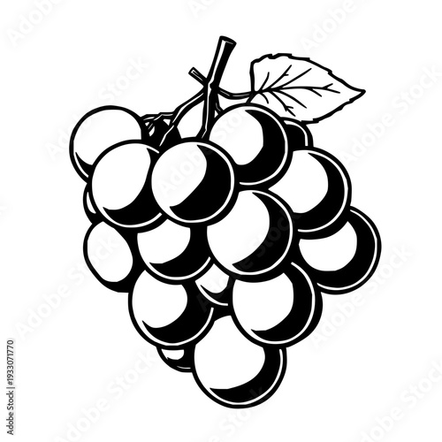 Minimalist black line art vector illustration of a grape cluster, perfect for wine branding, healthy food catalogs, or summer fruit designs with a clean aesthetic