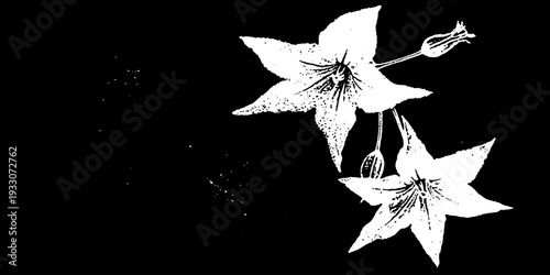 Zucchini blossom star stencil with high contrast abstract design for art and decor projects