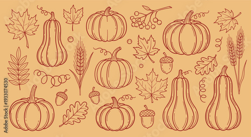 Autumn harvest collection of pumpkins gourds leaves and acorns in a charming hand drawn sketch style on a warm beige background