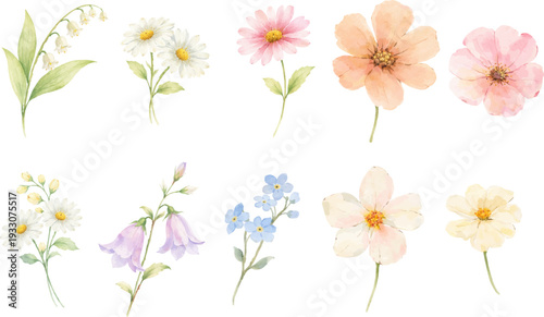 Set of delicate watercolor spring flowers isolated on light background. Perfect for Easter designs, Mother’s Day cards, invitations, stickers and floral compositions