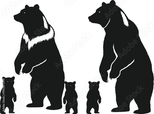 Collection of black bear silhouettes featuring large grizzly bears standing upright with small cubs for wildlife nature projects forest animal icons and decorative graphic design