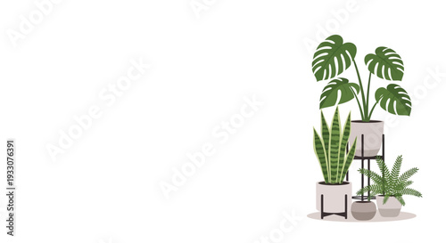 Potted House Plants Illustration