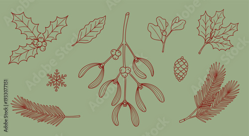 Elegant Christmas botanical illustration featuring festive winter foliage and pinecone on a muted green background