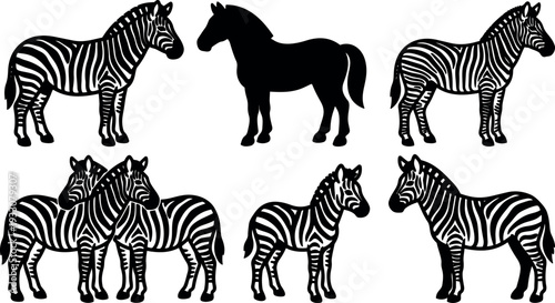 Vector silhouette zebra collection side view group pair foal adult standing isolated flat black and white graphic set line art