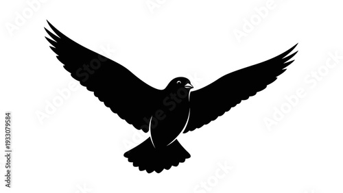 Silhouette of a bird in flight, wings spread wide, isolated on white background