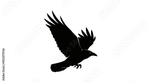 Silhouette of a raven in flight against a white background, wings spread wide