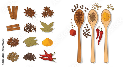 Assorted Spices Set Illustration