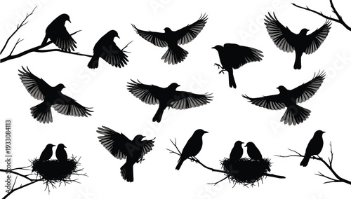 Bird silhouettes, flying birds, perched birds, nest illustration, wildlife art, nature design, avian creatures, black silhouettes, forest fauna, winged animals