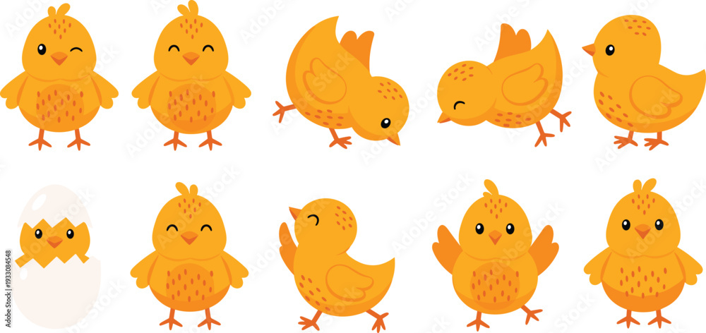 Obraz premium Cute baby chick cartoon poses collection farm bird vector illustration set