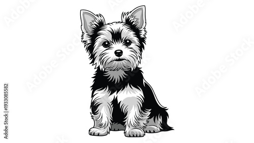 Detailed black and white illustration of a cute Yorkshire Terrier dog sitting and looking forward with alert ears and dark eyes.