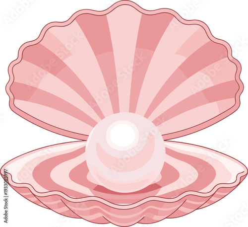 Open seashell with pearl ocean marine treasure vector illustration