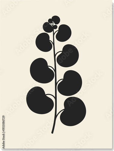 Minimalist Chinese Money Plant silhouette vector illustration for modern Scandinavian style wall art poster design