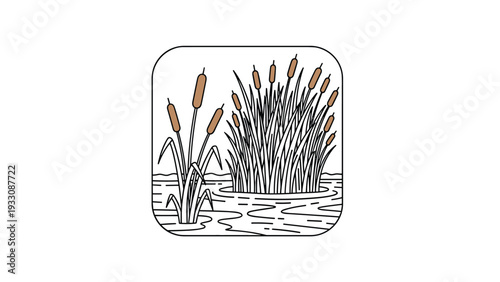 Illustration of bulrush plants growing in a calm body of water within a rounded frame using a vintage woodcut style.