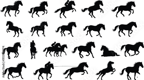 Twenty horse silhouettes in dynamic poses including walking, trotting, galloping, rearing, lying down, and ridden, equine motion illustration for anatomy, design, education, and creative projects