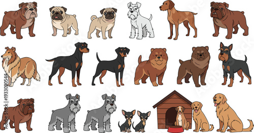 Set of Various Dog Breed Vector Illustrations Including Bulldogs, Pugs, Rottweilers, Collies, and More with Dog House and Accessories