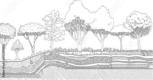 Cross section of soil layers with trees and grass above in a sketched style