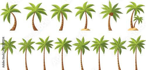 Set of Various Palm Tree Vector Illustrations Featuring Different Shapes and Styles for Tropical and Nature Designs