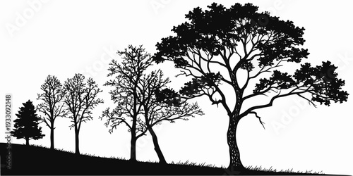 Silhouettes of trees against a setting sun on a hillside. Vector