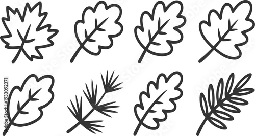 Collection of eight stylized black outline of various autumn leaves and pine needles on a white background