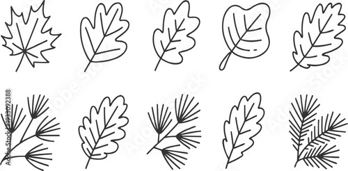 Collection of hand drawn black line deciduous and coniferous plant leaves and branches on white background